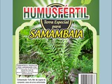 Humusfértil Samambaia